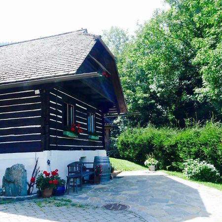 Bachkeusche Villa Осиах Екстериор снимка