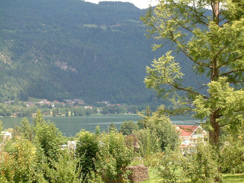 Bachkeusche Villa Осиах Стая снимка